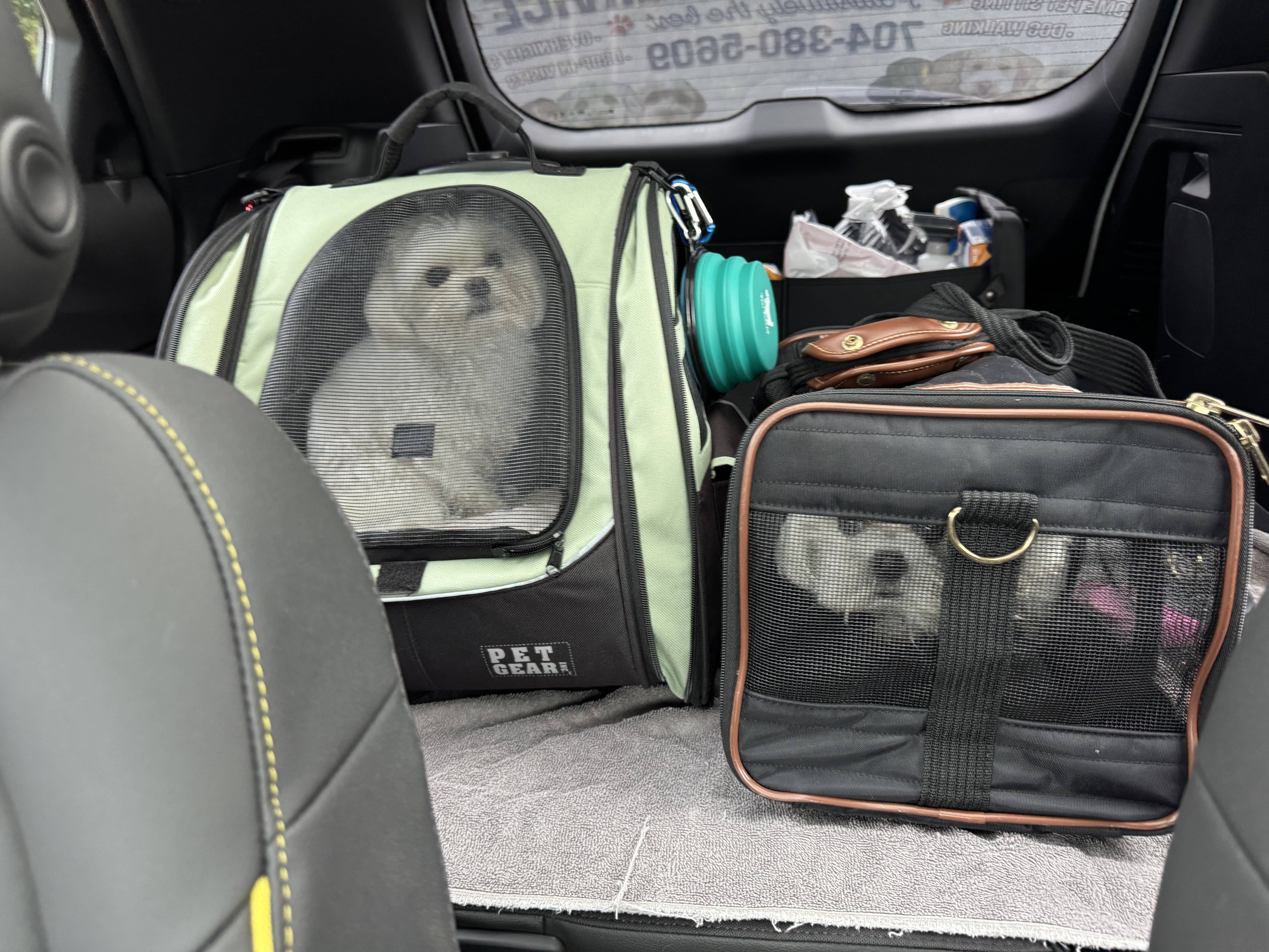 dog groomer statesville nc